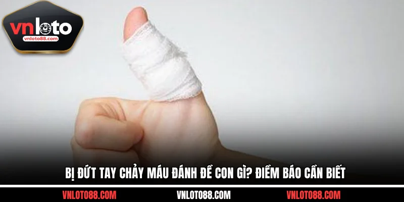 Bị đứt tay chảy máu đánh đề con gì? Điềm báo cần biết