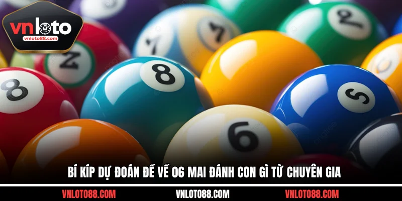 Bí kíp dự đoán đề về 06 mai đánh con gì từ chuyên gia
