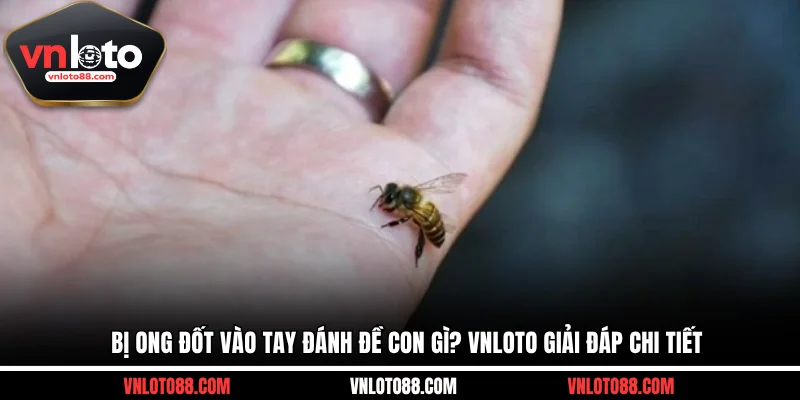 Bị ong đốt vào tay đánh đề con gì? VNLOTO giải đáp chi tiết