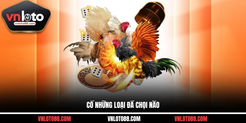 Có những loại đá chọi nào