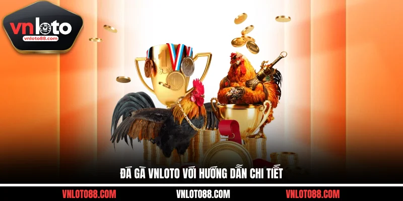 Đá gà VNLOTO với hướng dẫn chi tiết