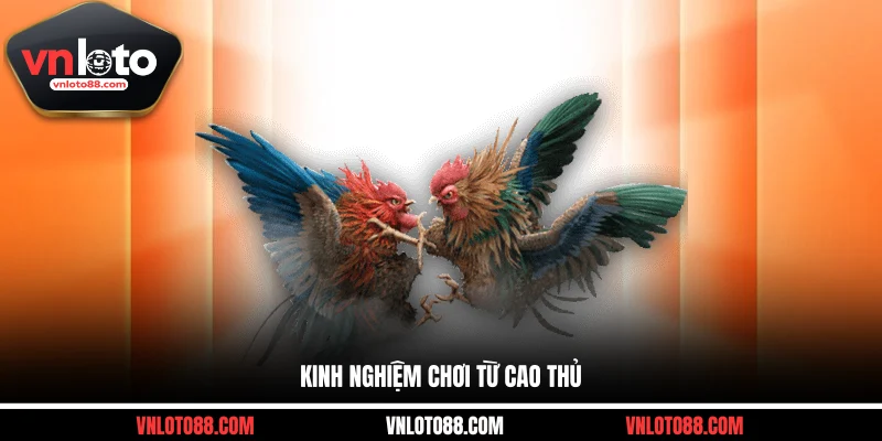 Kinh nghiệm chơi từ cao thủ