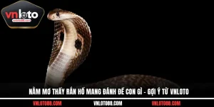 Nằm Mơ Thấy Rắn Hổ Mang Đánh Đề Con Gì - Gợi Ý Từ VNLOTO