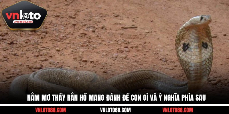 Nằm mơ thấy rắn hổ mang đánh đề con gì và ý nghĩa phía sau