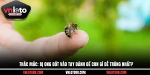 Thắc Mắc: Bị Ong Đốt Vào Tay Đánh Đề Con Gì Dễ Trúng Nhất?