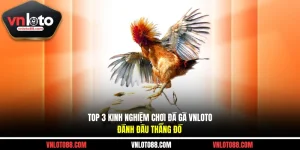 Top 3 Kinh Nghiệm Chơi Đá Gà VNLOTO Đánh Đâu Thắng Đó