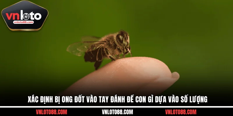 Xác định bị ong đốt vào tay đánh đề con gì dựa vào số lượng 