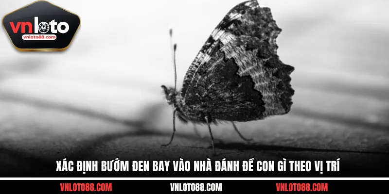 Xác định bướm đen bay vào nhà đánh đề con gì theo vị trí